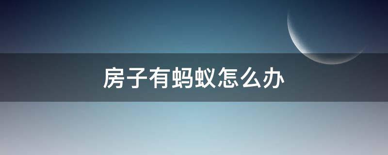 房子有蚂蚁怎么办（楼房有蚂蚁怎么办呢怎么去处理呢）