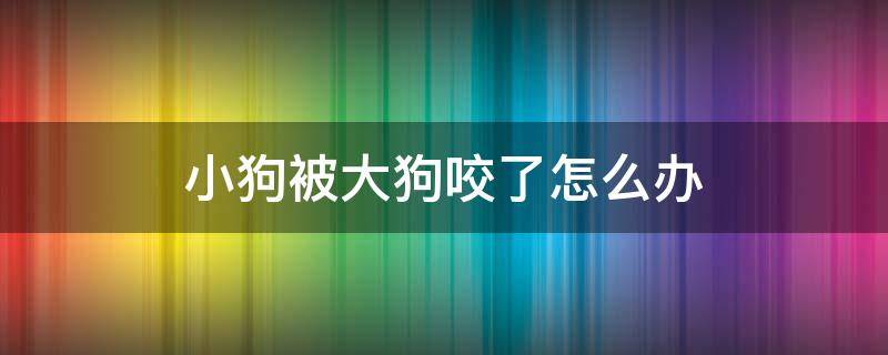 小狗被大狗咬了怎么办 小狗被大狗咬了怎么办法律责任