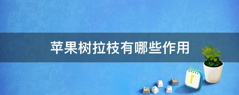 苹果树拉枝有哪些作用 苹果树拉枝的作用