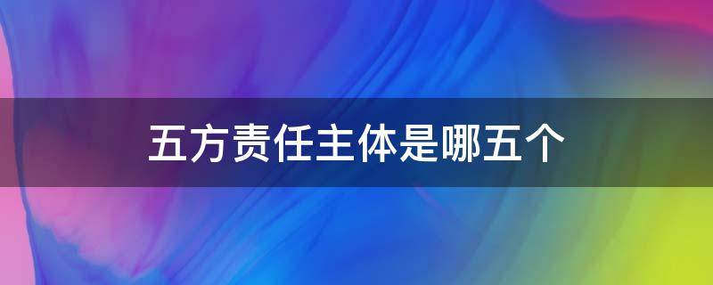 五方责任主体是哪五个（五方责任主体是指哪五方）