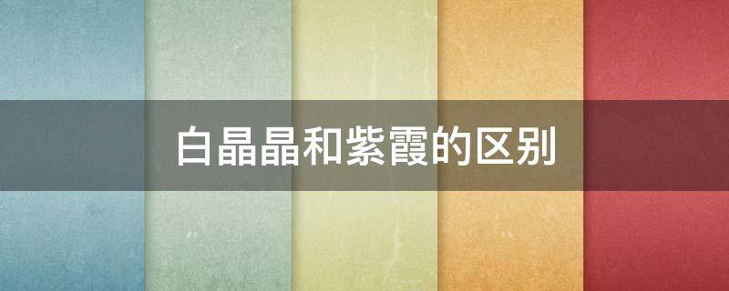 白晶晶和紫霞的区别（晶晶还是紫霞）