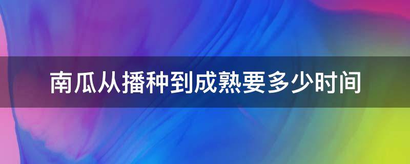 南瓜从播种到成熟要多少时间（南瓜播种的时间）