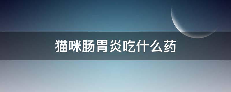 猫咪肠胃炎吃什么药 猫咪肠胃炎吃什么药好
