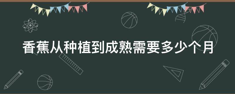 香蕉从种植到成熟需要多少个月 香蕉从种植到成熟大约需要几个月