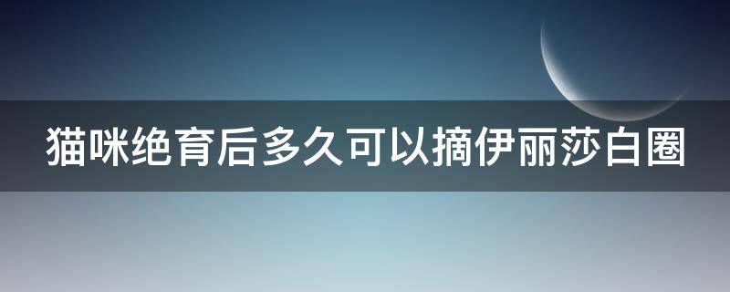 猫咪绝育后多久可以摘伊丽莎白圈 猫咪绝育后多久可以摘伊丽莎白圈知乎