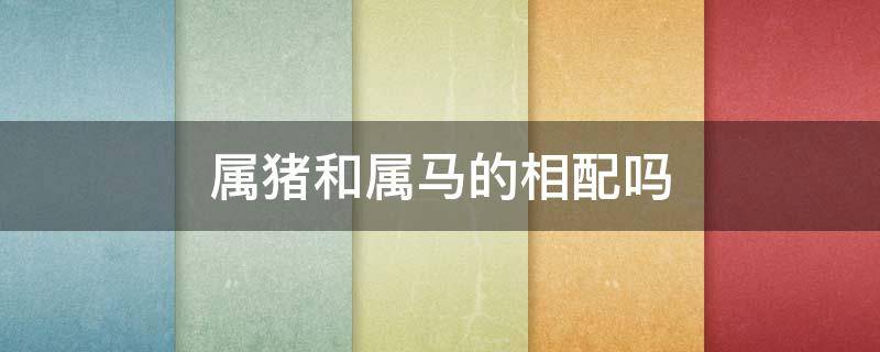 属猪和属马的相配吗（属马与属猪的相配吗）