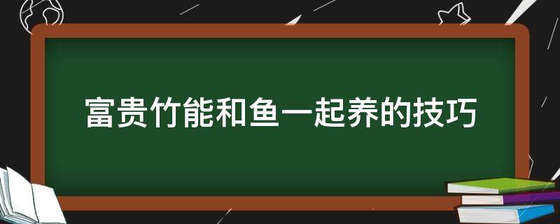 富贵竹能和鱼一起养的技巧（富贵竹能与鱼一起水养吗）