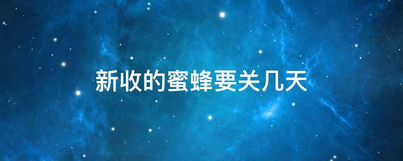 新收的蜜蜂要关几天 新收的野蜜蜂要关几天