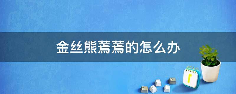 金丝熊蔫蔫的怎么办（金丝熊蔫了怎么办）