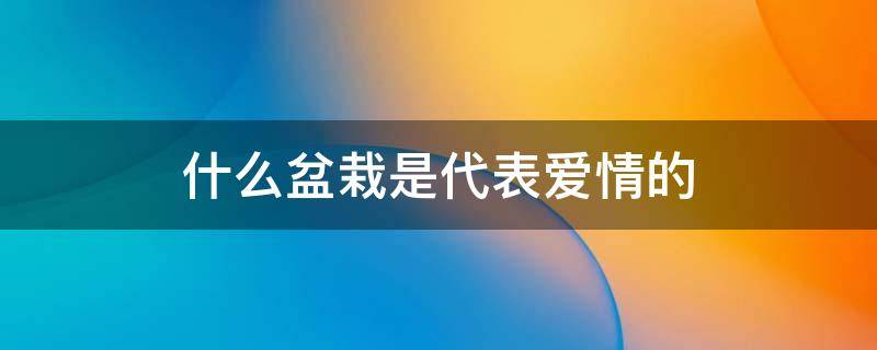 什么盆栽是代表爱情的 什么盆栽象征爱情