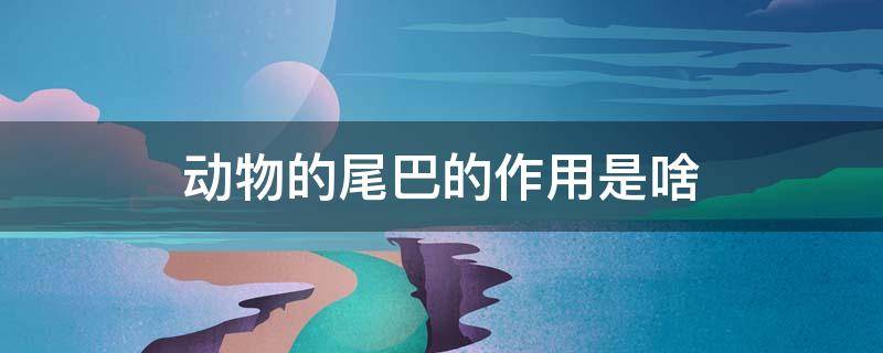 动物的尾巴的作用是啥（动物的尾巴有哪些作用是什么）