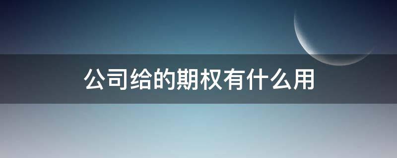 公司给的期权有什么用（公司给的期权有用吗）