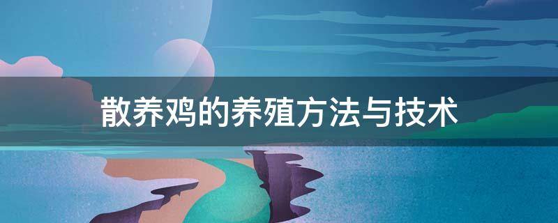 散养鸡的养殖方法与技术 散养公鸡的养殖方法