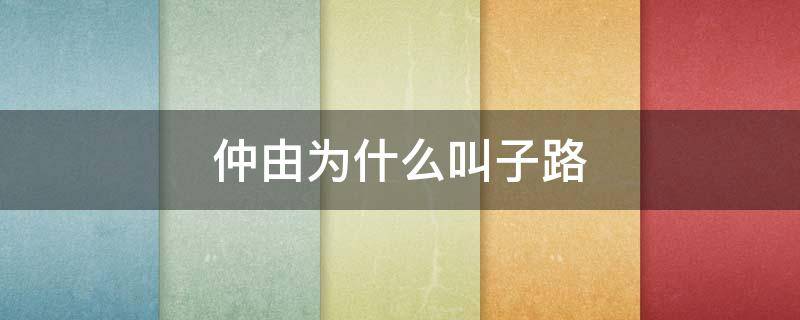 仲由为什么叫子路（仲由是子路吗）