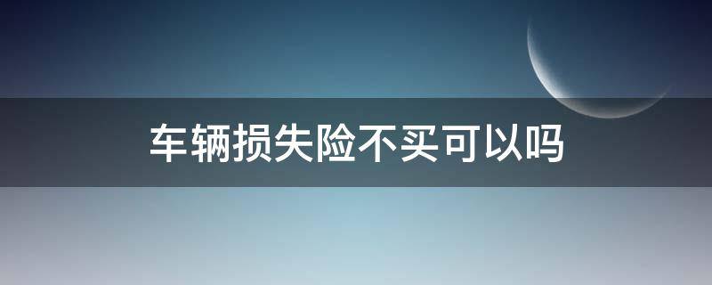 车辆损失险不买可以吗（车辆损失险可不可以不买）