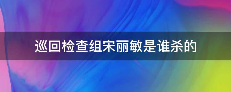 巡回检查组宋丽敏是谁杀的（巡回检查组宋丽敏的死因）