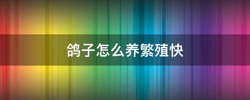 鸽子怎么养繁殖快 鸽子怎么养繁殖快视频