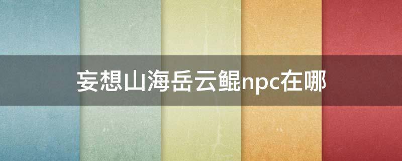 妄想山海岳云鲲npc在哪