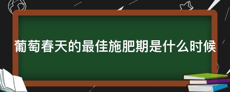 葡萄春天的最佳施肥期是什么时候（葡萄用什么肥料让葡萄颗粒大）