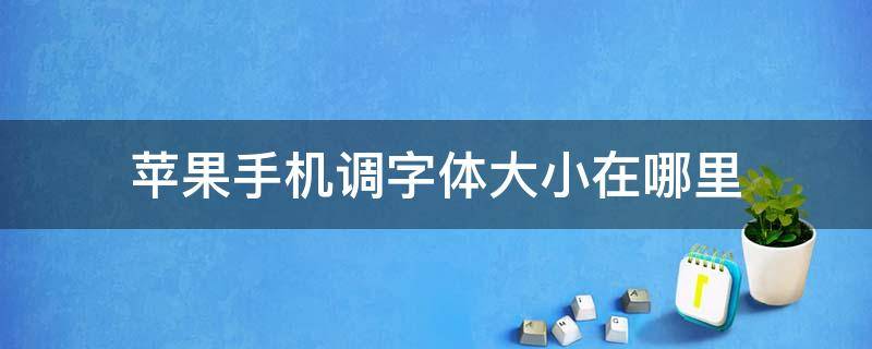 苹果手机调字体大小在哪里 苹果手机调字体大小在哪里如何修改苹果手机密码