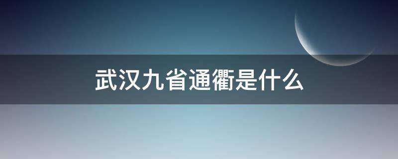 武汉九省通衢是什么（武汉9省通衢是什么意思）