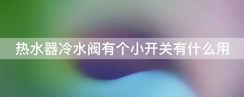 热水器冷水阀有个小开关有什么用（热水器冷水阀有个小开关漏水是怎么回事）