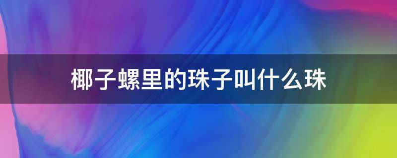 椰子螺里的珠子叫什么珠 椰子螺体内珠子