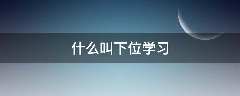 什么叫下位学习