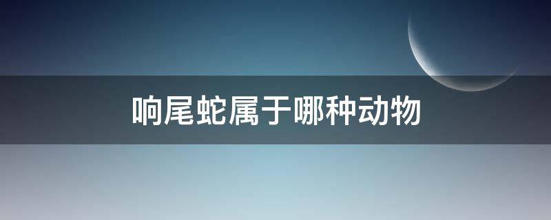 响尾蛇属于哪种动物（响尾蛇是什么蛇类）