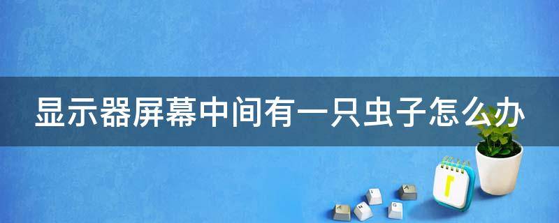 显示器屏幕中间有一只虫子怎么办 显示器屏幕中间出现一条黑线怎么办