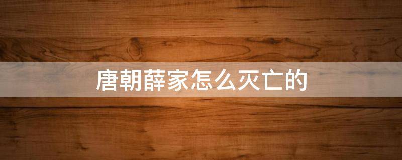 唐朝薛家怎么灭亡的（唐朝薛家怎么灭亡的简介）