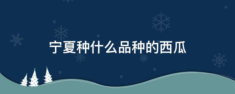 宁夏种什么品种的西瓜 宁夏产的西瓜叫什么名称