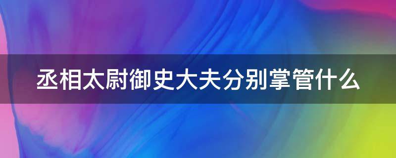 丞相太尉御史大夫分别掌管什么（丞相太尉御史大夫分别掌管什么初一）