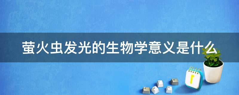 萤火虫发光的生物学意义是什么 萤火虫发光的生物化学原理