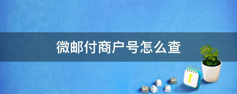 微邮付商户号怎么查（邮政微邮付商户号怎么查）