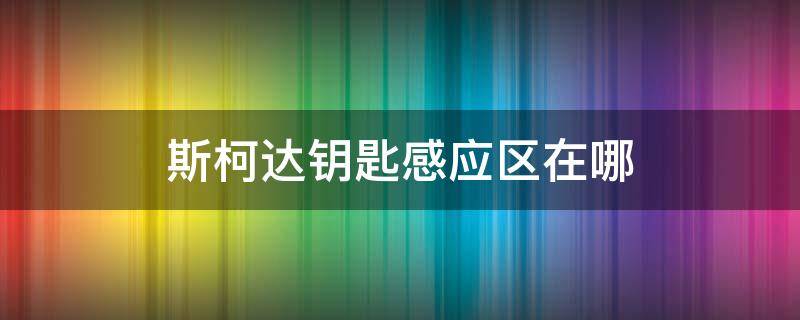 斯柯达钥匙感应区在哪（斯柯达遥控钥匙感应区）