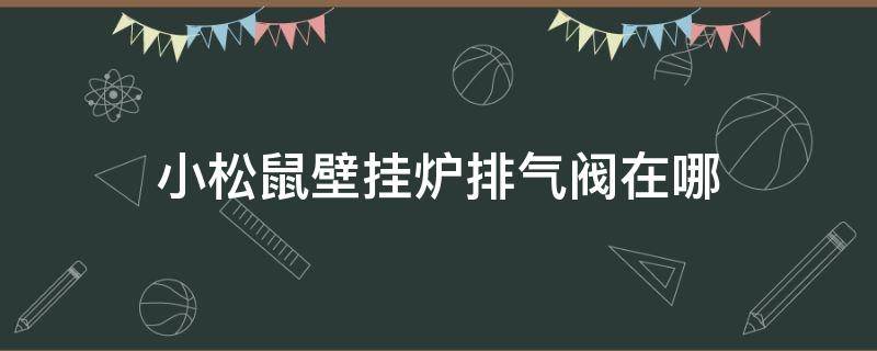 小松鼠壁挂炉排气阀在哪（小松鼠壁挂炉水泵排气阀在图片哪）