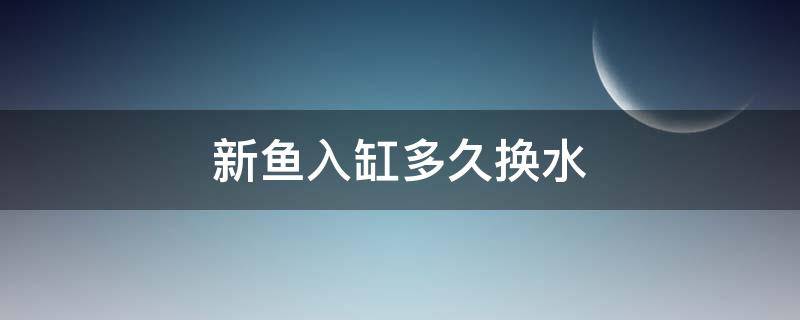 新鱼入缸多久换水 鱼缸入新鱼几天可以换水