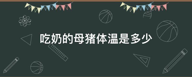 吃奶的母猪体温是多少 哺乳母猪的体温是多少?