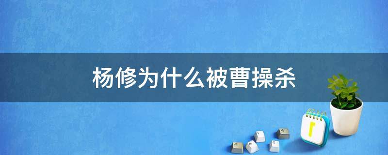 杨修为什么被曹操杀（杨修为什么被曹操杀掉了）