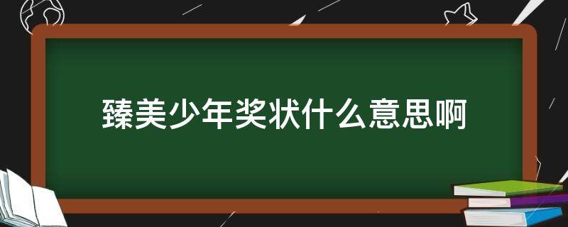 臻美少年奖状什么意思啊 品美少年奖状是什么意思