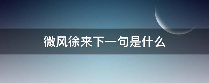 微风徐来下一句是什么（微风徐徐来下一句）