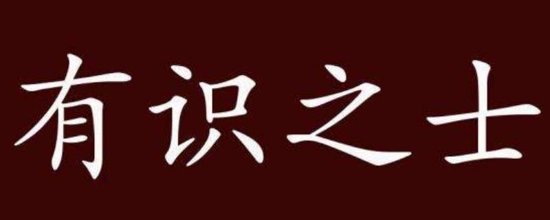 有识之士中识读zhi吗（有识之士怎么读）
