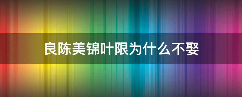 良陈美锦叶限为什么不娶 良陈美锦叶限为什么不娶女主