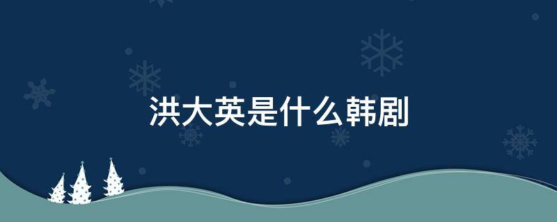 洪大英是什么韩剧 韩剧洪大英是什么电视剧