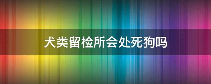 犬类留检所会处死狗吗 狗狗进了留检所能出来吗