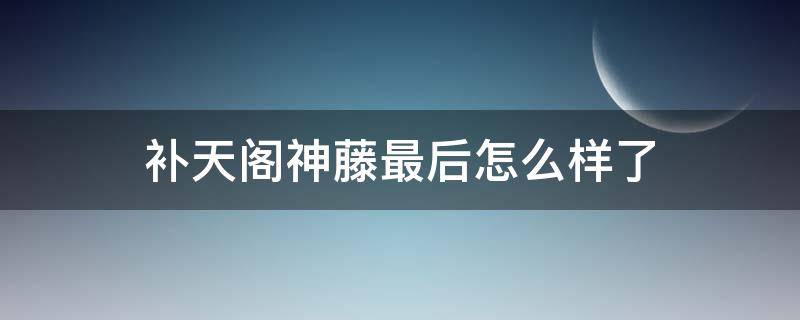 补天阁神藤最后怎么样了 补天阁神藤百度百科