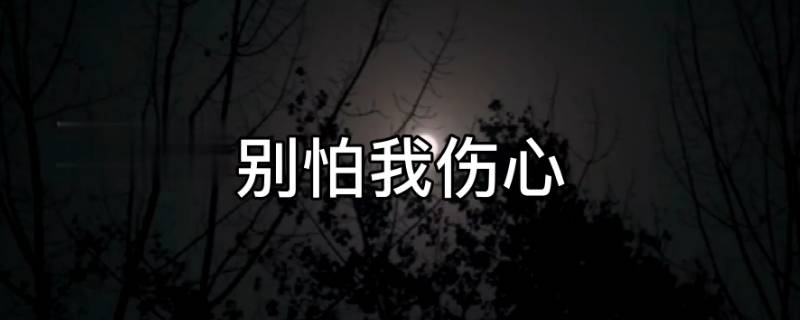 温暖你的心灵叫什么歌 温暖你的心灵是什么歌曲