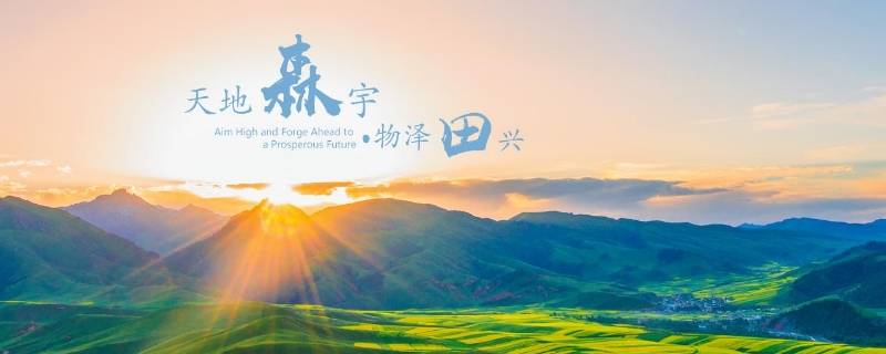 中国森田企业集团什么背景（田森集团是不是上市公司）