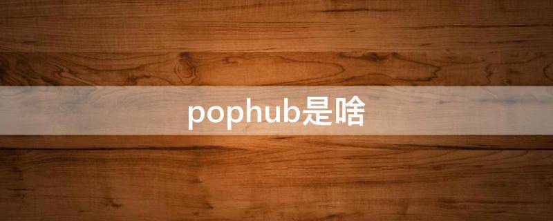 pophub是啥（pophub百度百科）